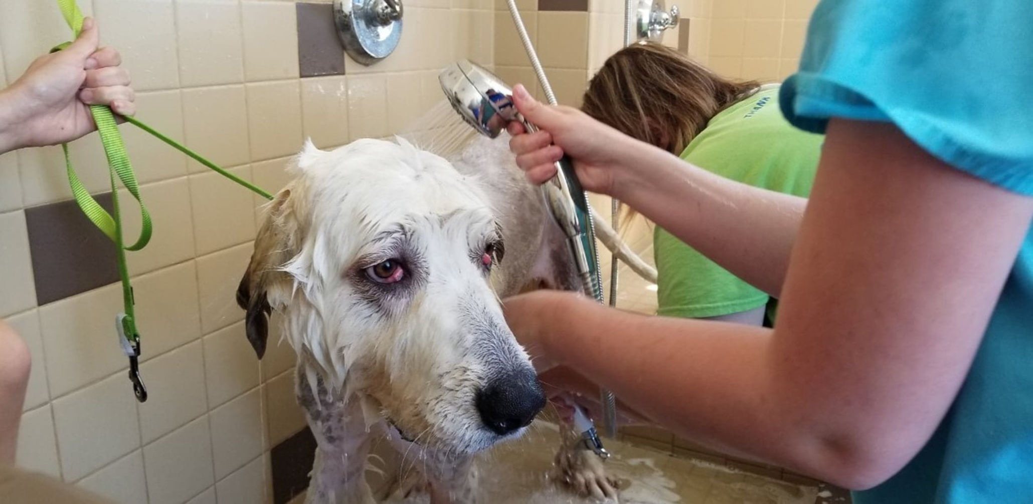 shiloh spa day .jpg